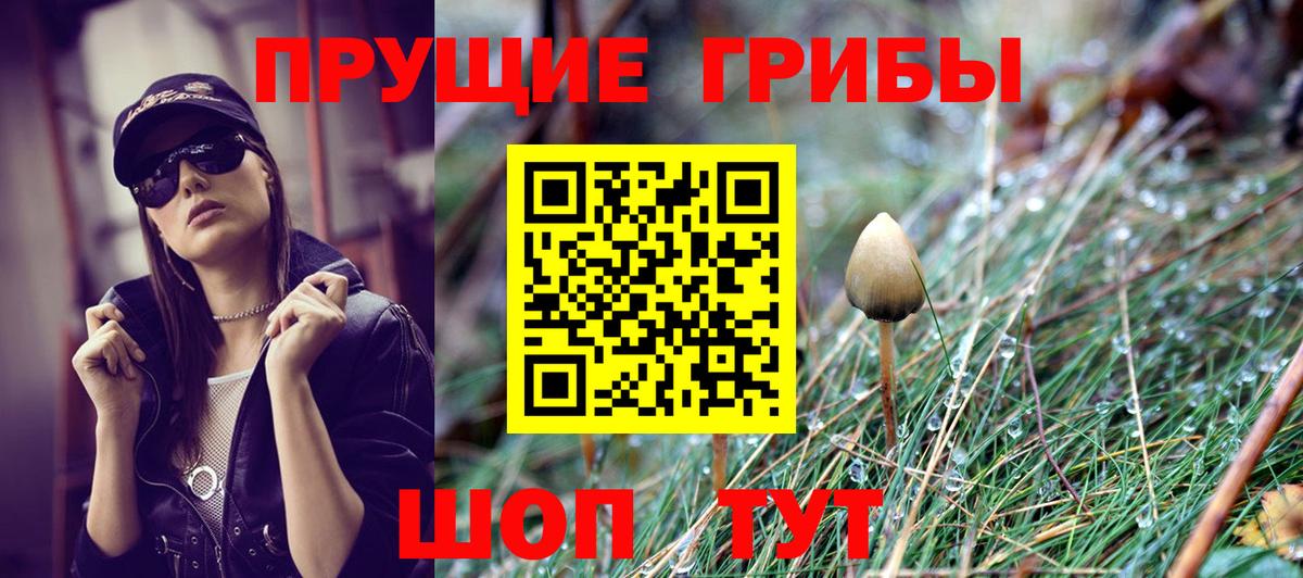 Галлюциногенные грибы GOLDEN TEACHER Партизанск