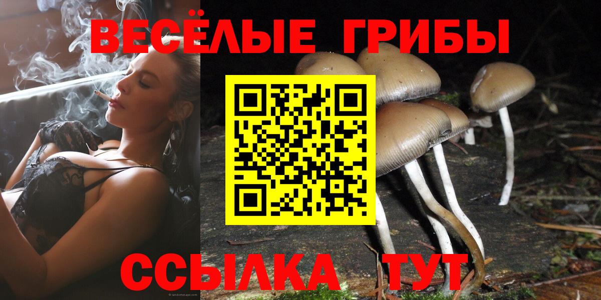 Галлюциногенные грибы Psilocybe  Вход с VPN  Галлюциногенные грибы GOLDEN TEACHER  Партизанск 